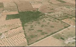 Rustic plot in a rural setting for sale in Llubi, Mallorca, Inca 07300