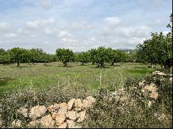 Country plot for sale in Baleares, Mallorca, Felanitx, Cas Conco, Felanitx 07200