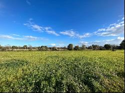Country plot for sale in Baleares, Mallorca, Campos, Campos 07630