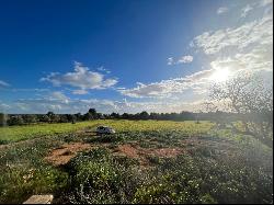 Rustic plots with project for sale in Campos, Majorca, Campos 07630