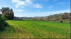 Country plot for sale in Baleares, Mallorca, Muro, Muro 07440