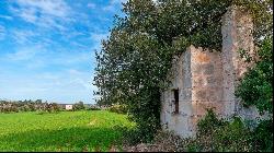 Country plot for sale in Baleares, Mallorca, Muro, Muro 07440