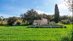 Country plot for sale in Baleares, Mallorca, Muro, Muro 07440
