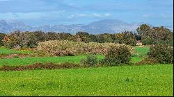 Rustic plot for sale in Muro, Mallorca, Muro 07440