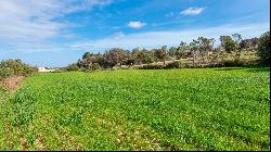 Country plot for sale in Baleares, Mallorca, Muro, Muro 07440