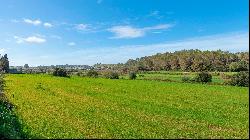 Country plot for sale in Baleares, Mallorca, Muro, Muro 07440