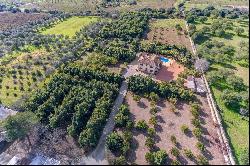 Charming Finca for sale near Palmanyola at Mallorca, Bunyola 07110