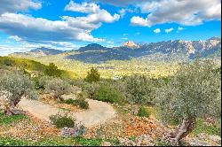 Incredible rustic land of 359,000 sqm for sale in Soller in Major, Soller 07100