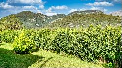 Historic Agrotourism with license for sale in Campanet, Majorca, Campanet 07310