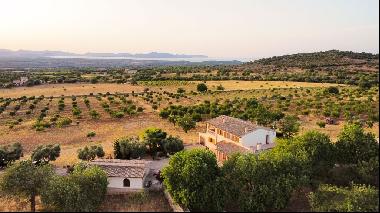 Finca for sale with panoramic views over the bay of Alcúdia and , Artà 07570