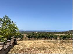 Finca for sale with panoramic views over the bay of Alcudia and , Arta 07570