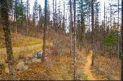 237 Timberjack Trail, Bigfork MT 59911