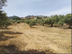 Expansive buildable plot in Pinos de Alhaurín, Alhaurín de la Torre 29130