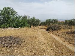 Expansive buildable plot in Pinos de Alhaurín, Alhaurín de la Torre 29130