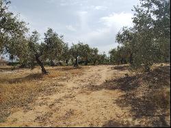 Expansive buildable plot in Pinos de Alhaurín, Alhaurín de la Torre 29130