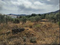 Expansive buildable plot in Pinos de Alhaurín, Alhaurín de la Torre 29130