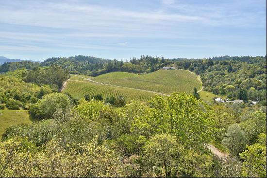 950 Canyon Road, Geyserville, CA 95441