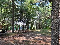 0000 Wolverine Trail, Alger MI 48610