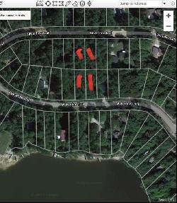 0000 Wolverine Trail, Alger MI 48610