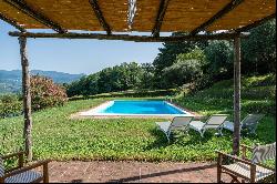 Ancient country villa on the hills of Lucca