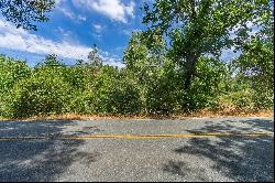 Sutter Creek Road, Sutter Creek, CA 95685