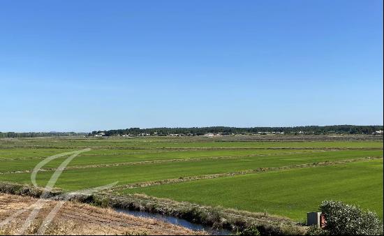 Opportunity, Land Comporta, Brejo da Carregueira de Baixo