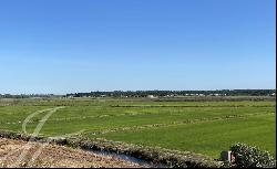 Opportunity, Land Comporta, Brejo da Carregueira de Baixo