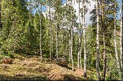 Rare Development Opportunity on Aspen Highlands