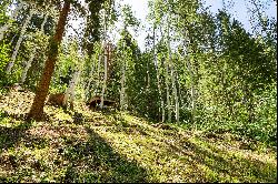 Rare Development Opportunity on Aspen Highlands