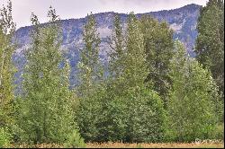 0 Lot 1 White River Road, Leavenworth WA 98826