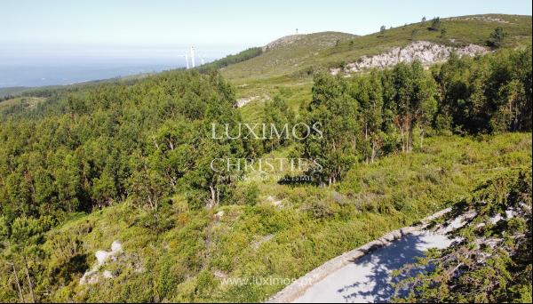 Land, for sale, in Monchique, Algarve