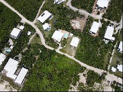 Sand Dollar, New Settlement Beach Community, Elbow Cay - MLS 53696