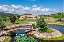 Tuscan Coast - ESTATE WITH LUXURY RESORT AND VINEYARDS FOR SALE IN GROSSETO