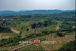 HISTORIC VILLA WITH VINEYARDS FOR SALE 30 KM FROM FLORENCE, CHIANTI