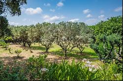 Beautiful Provencal property - Gassin with project to extend
