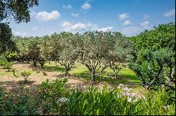 Magnificent Provencal Family home in 1.3 hectares - Heart of Gassin