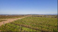 92 HA WINE FARM OF WHICH 75 HA'S OF VINEYARDS, SEVEN CULTIVARS PLUS A VIEW OF TABLE MOUNT