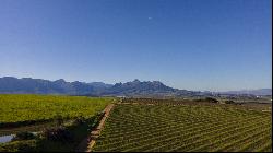92 HA WINE FARM OF WHICH 75 HA'S OF VINEYARDS, SEVEN CULTIVARS PLUS A VIEW OF TABLE MOUNT