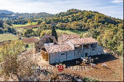 Emilia-Romagna - RURAL HAMLET TO BE RESTORED FOR SALE IN BAGNO DI ROMAGNA