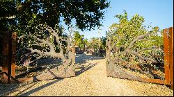 Magical Equestrian Compound in Napa