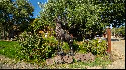 Magical Equestrian Compound in Napa