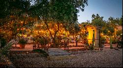 Magical Equestrian Compound in Napa