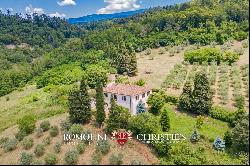 Tuscany - 17TH CENTURY COUNTRY HOUSE FOR SALE IN AREZZO