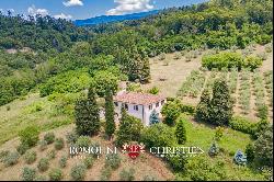 COUNTRY VILLA FOR SALE IN AREZZO, TUSCANY