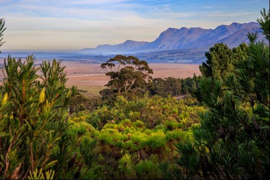 western Cape