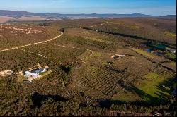 Two vacant stands of 2000m² each enveloped by nature.