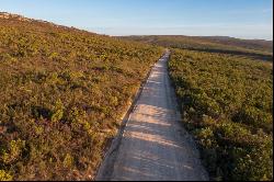 Two vacant stands of 2000sqm each enveloped by nature.