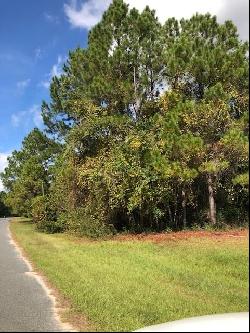 47 +/- Acres Live Oak Lane, Blackshear GA 31516