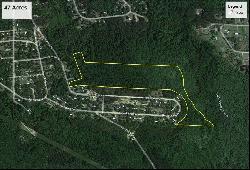 47 +/- Acres Live Oak Lane, Blackshear GA 31516