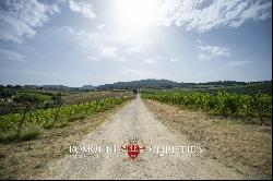 WINE ESTATE WITH 25.8 HA OF VINEYARDS FOR SALE IN CHIANTI CLASSICO, TUSCANY